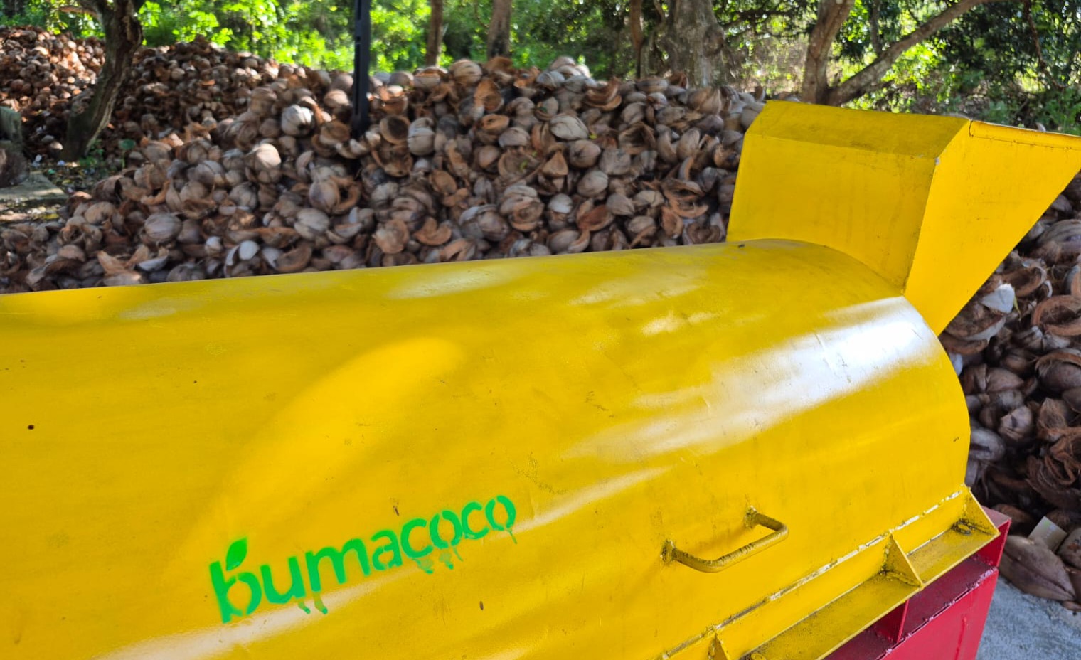 Bumacoco's Bulk Cocofiber Supply