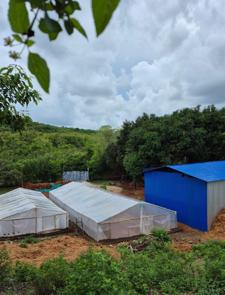 Bumacoco main factory